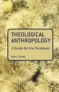 Theological anthropology: a guide for perplexed